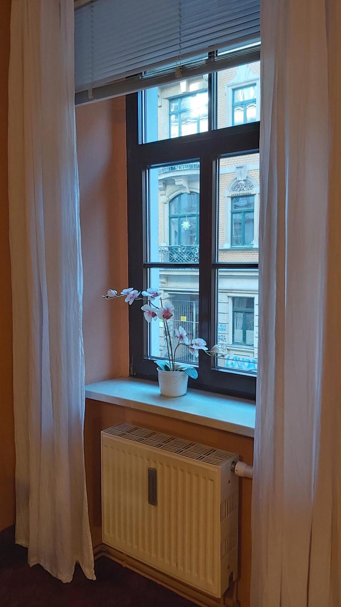 City-Ferienwohnungen-Dresden - Zentral Gelegen Im Haus Louisenstrasse 11 - Dresden-Neustadt ภายนอก รูปภาพ